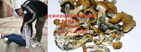 spice Михайловск