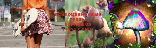 spice Михайловск