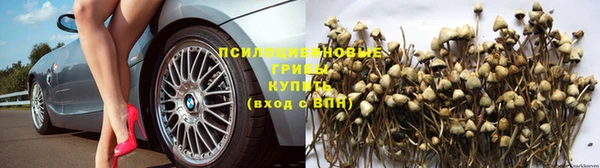 spice Михайловск
